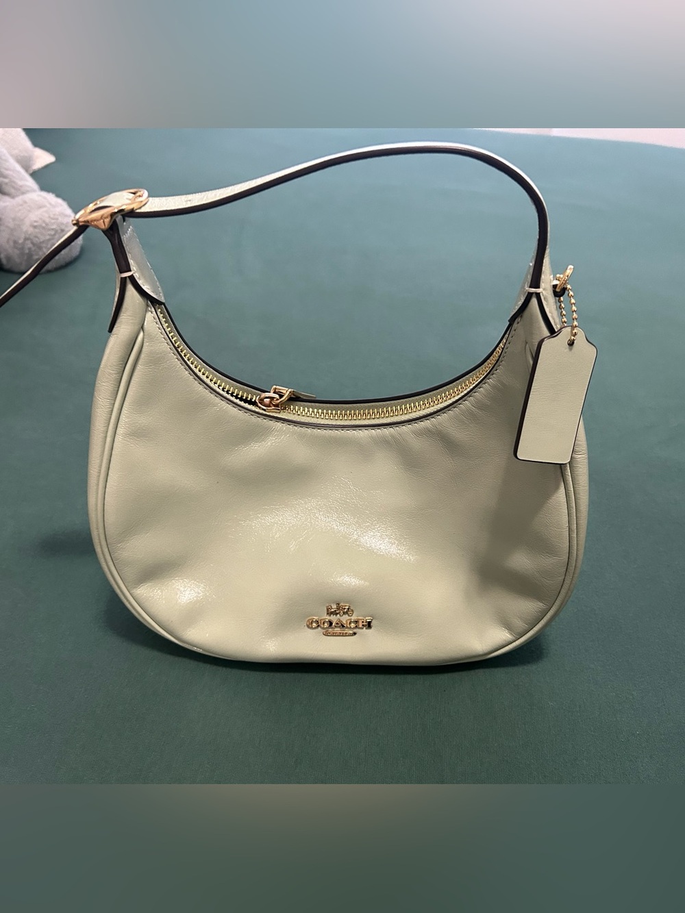 Coach Leather Shoulder Bag in Sage